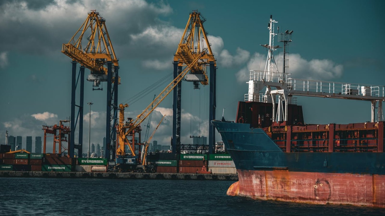 pexels-alperenbozkurt-17004424