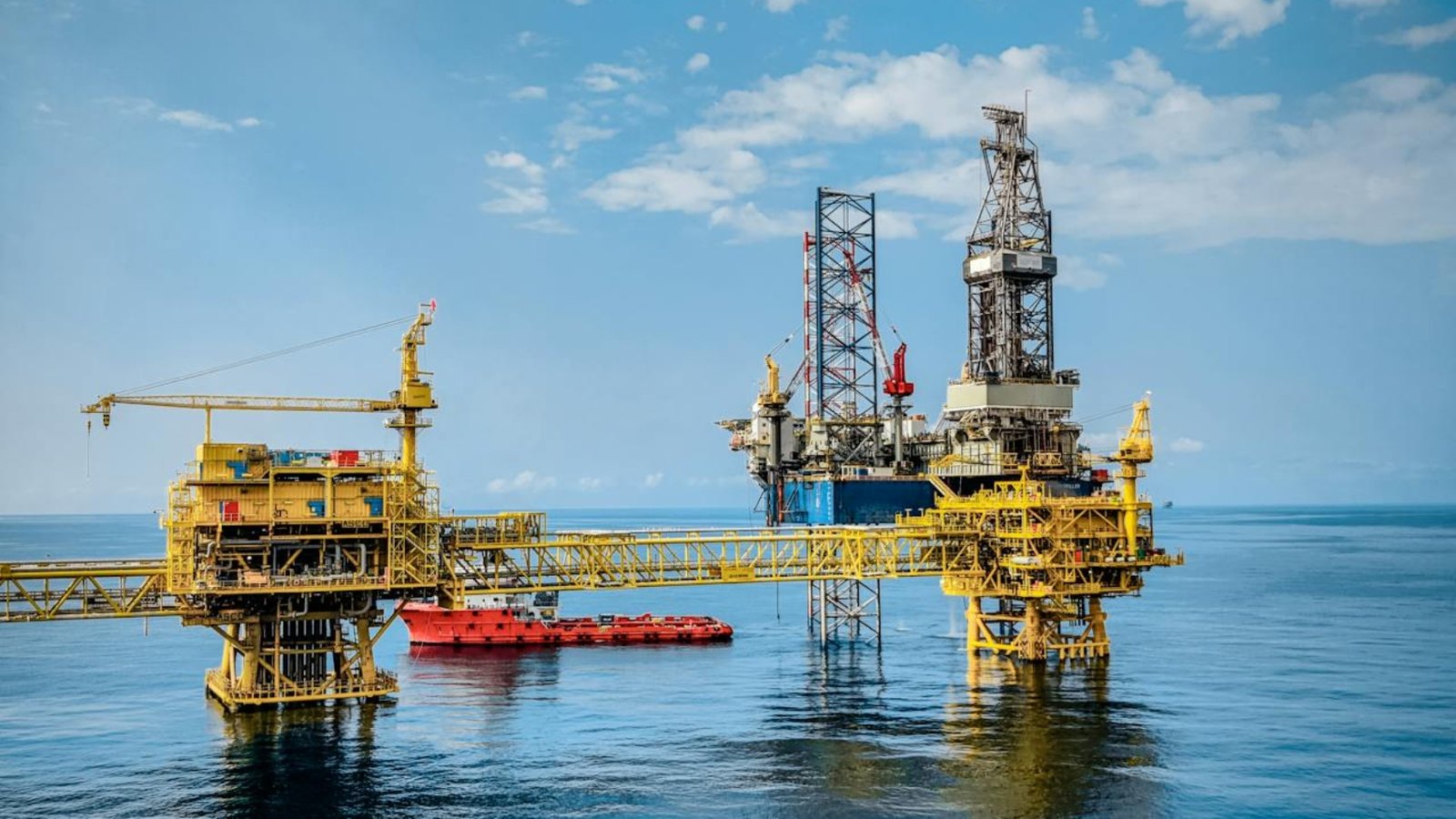 pexels-anoop1992-16830015 (1)