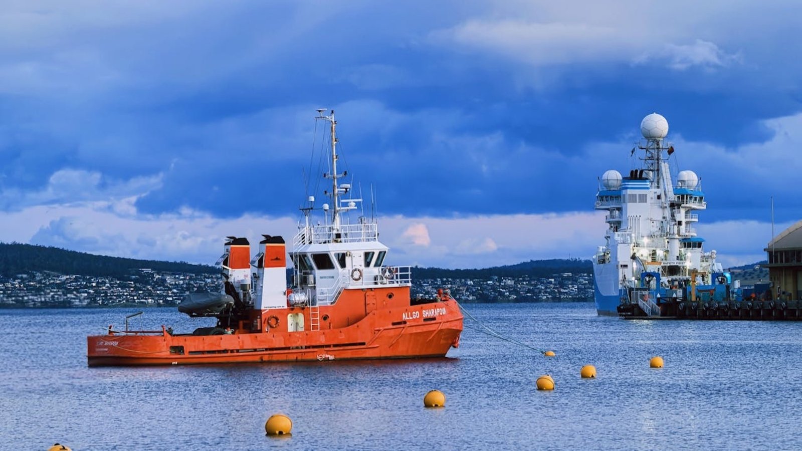 pexels-emy-lu-2158217302-35231563