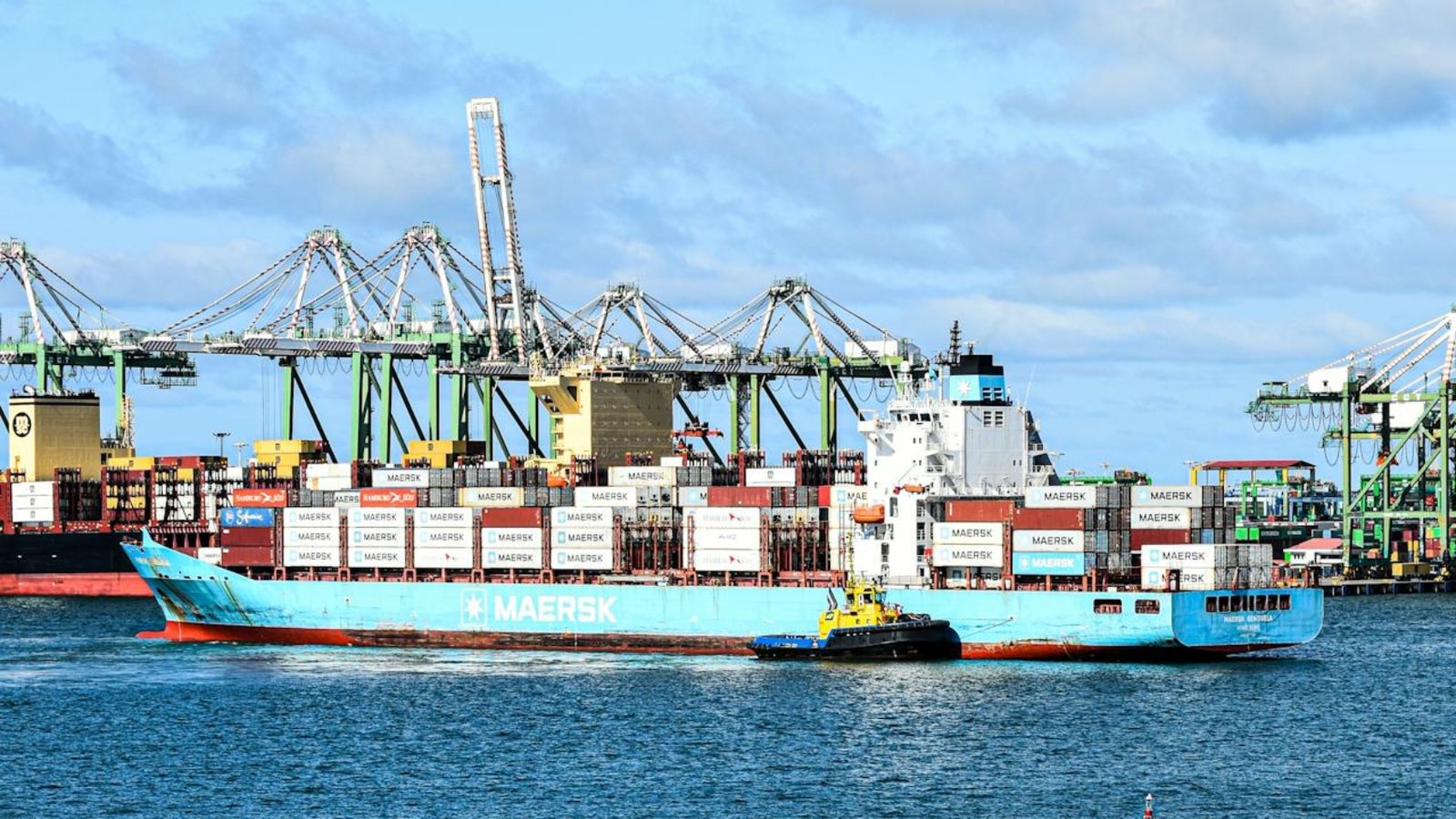 pexels-enzo-renz-424999667-35173640