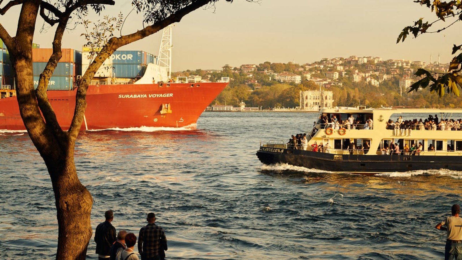 pexels-merictuna-30270601