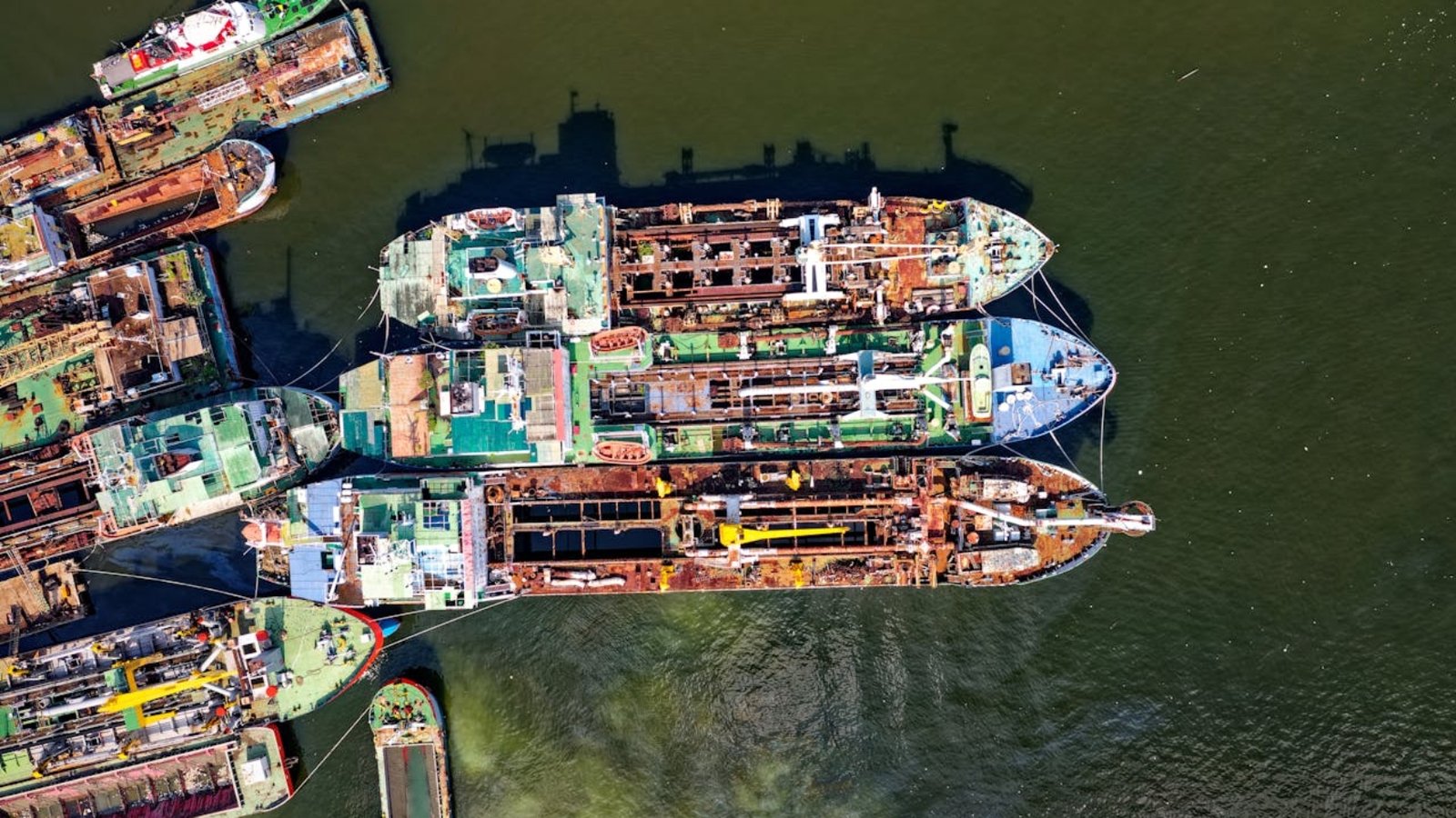 pexels-tomfisk-1996985